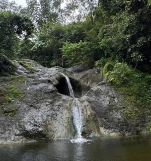 uma cachoeira no meio de um rio com árvores