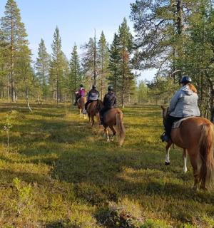 一群人在田野里骑马