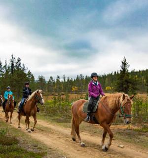 a group of people riding horses down a dirt road