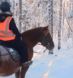 雪地里骑马的人
