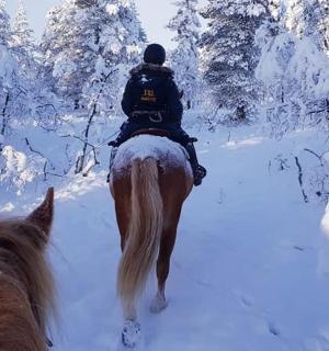 雪地里骑马的人