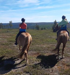 两个人在田野里骑马