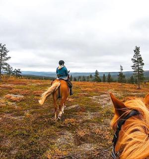 田野里骑马的人