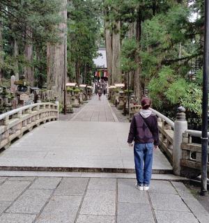 a woman walking across a bridge in a park