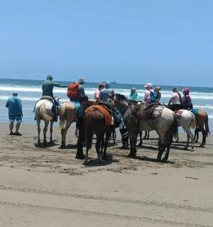 a group of people riding horses on the beach