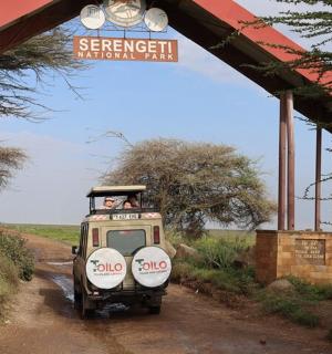 一辆小型车在土路上行驶