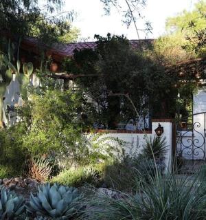 房子前面有植物的花园