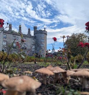 zámek se zahradou s houbami před ním