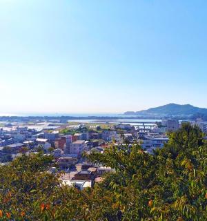 a view of a city from the top of a hill