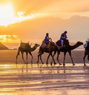 一群人在海滩上骑马