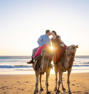 一群人在海滩上骑着骆驼