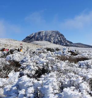 一片白雪覆盖的田野，背景是一座山