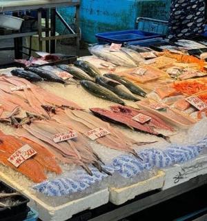 a display of different types of fish on a table