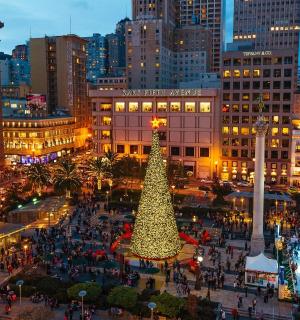 a christmas tree in the middle of a city