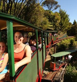 一名妇女和一名儿童乘坐火车