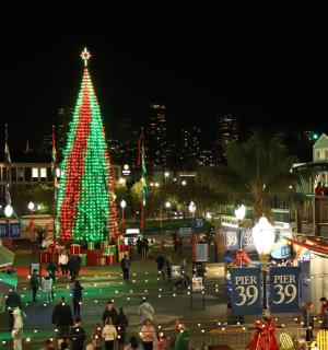 a christmas tree in the middle of a city at night