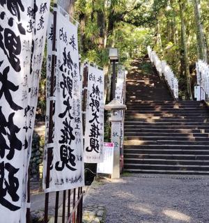 a set of stairs with a gate with writing on it