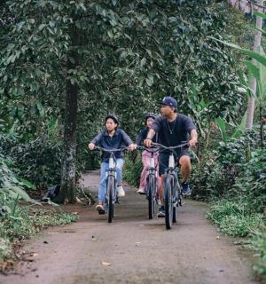 一群人沿着小路骑自行车