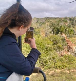 a woman taking a picture of a giraffe