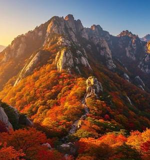 一座长满秋叶的山