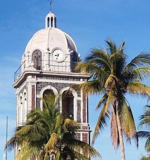 a clock tower with a palm tree in front of it