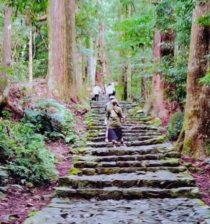 a painting of a stone path in a forest
