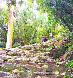 a group of people walking down a set of stone stairs