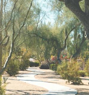 tee läbi puude ja põõsastega pargi