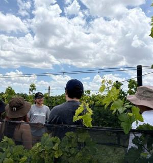 sekumpulan orang berdiri di ladang pokok anggur