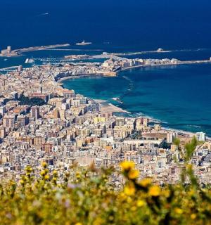 pohled na město z kopce se žlutými květy