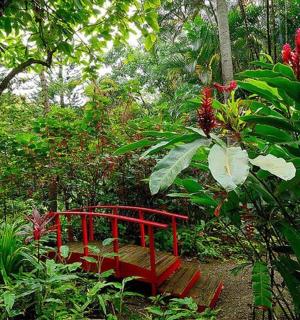 a red bench sitting in the middle of a forest