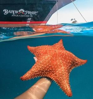 一个人在船旁的水中拿着一只海星。