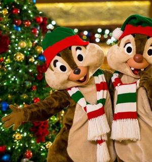 圣诞树前摆放着两个毛绒玩具