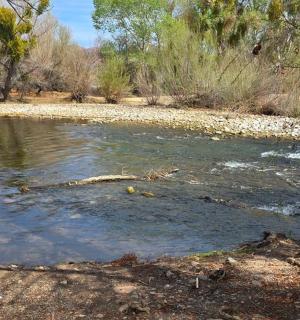 有岩石和树木的水域