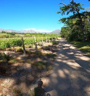 一个人骑着自行车沿着土路行驶