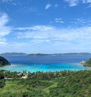 a view of a large body of water with trees