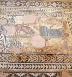 sàn khảm có hình con ngựa trên đó