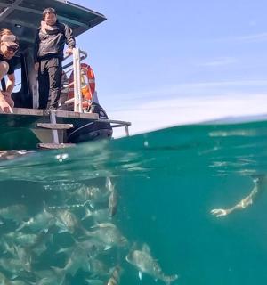 一群人在船上看着水