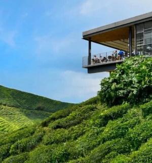 مبنى على قمة تلة خضراء