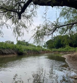 pemandangan sungai dari bot