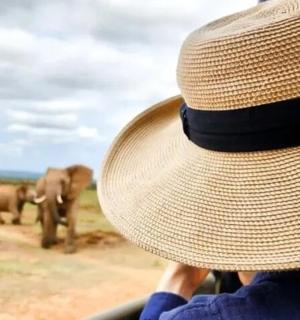 a person wearing a straw hat looking at elephants