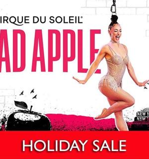 疯狂苹果假日促销海报