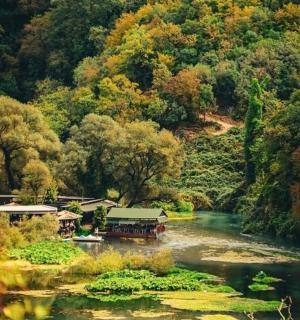 a river with a house in the middle of a forest