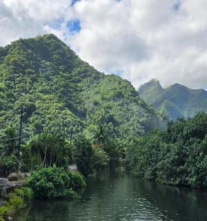 řeka před horou se stromy