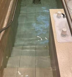 a glass door of a shower with two cups on the floor