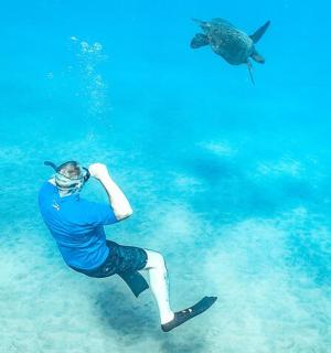 一名男子正在给水中的海豚拍照