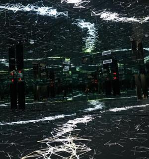 树木和灯光的街道的夜景