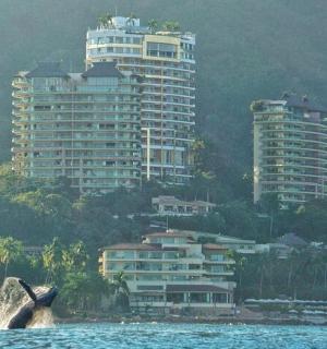 ikan paus di dalam air di hadapan bangunan