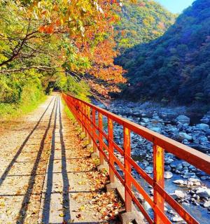 a red bridge over a river next to a mountain