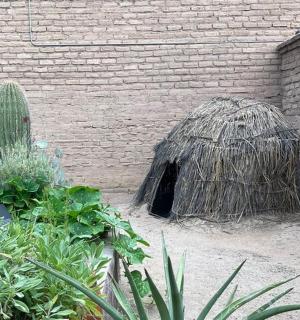 a garden with a small house and a cactus